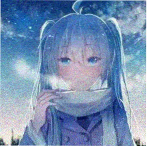 周末猫的头像